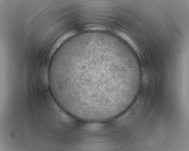 X0000113891282200910151326