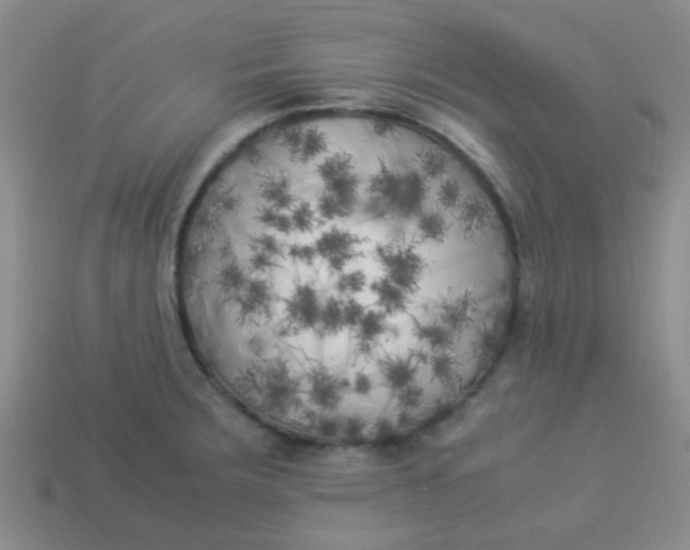 X0000113891283200910151326