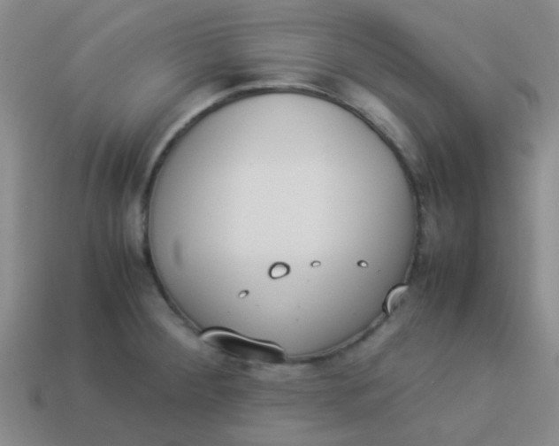 X0000113891284200910151326