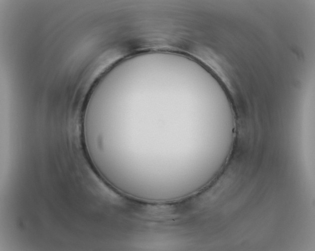 X0000113891285200910151326