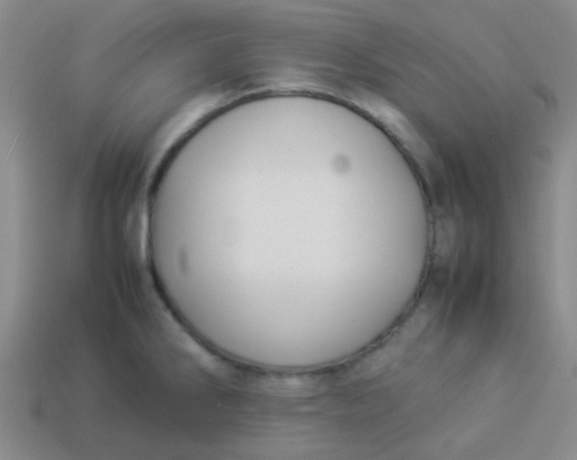 X0000113891286200910151326