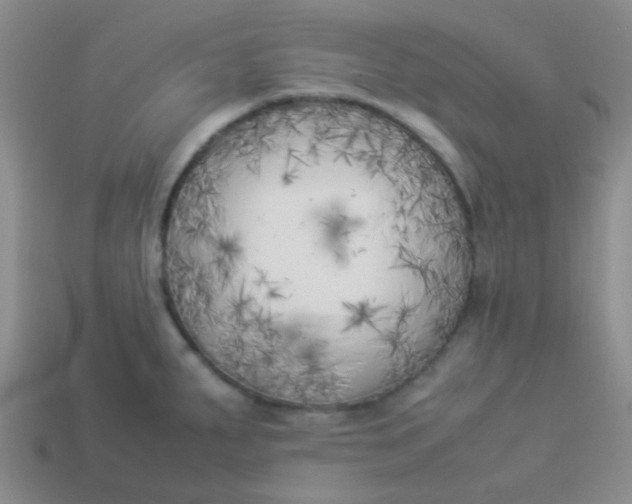 X0000113891287200910151326