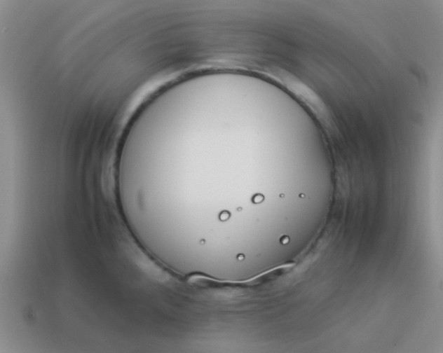 X0000113891288200910151326