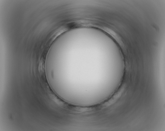 X0000113891289200910151326