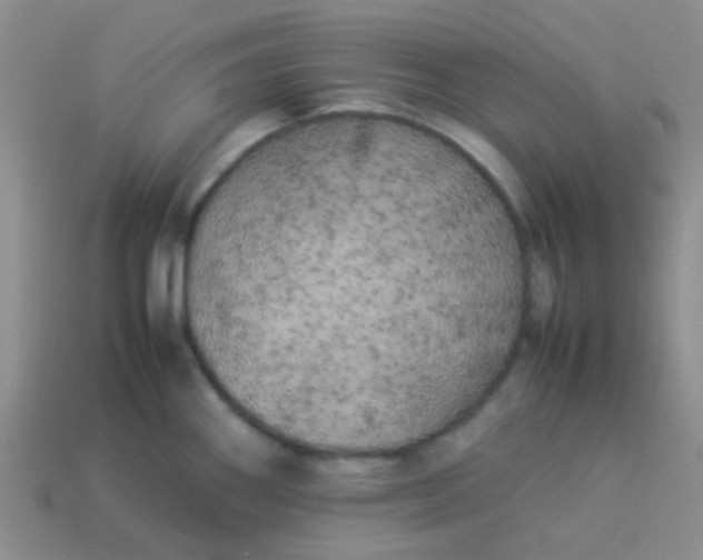 X0000113891290200910151326