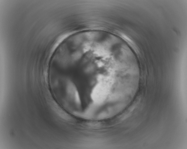 X0000113891291200910151326