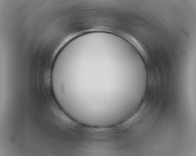 X0000113891292200910151326