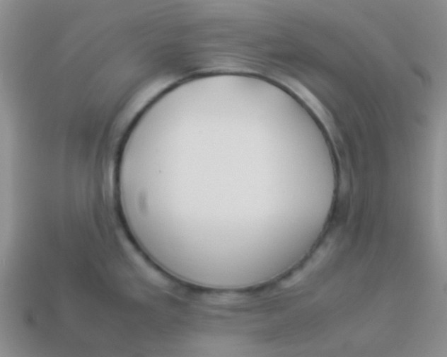 X0000113891293200910151326