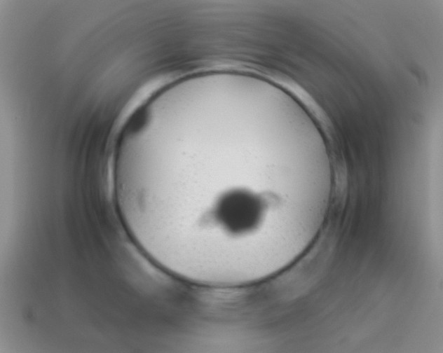 X0000113891294200910151326