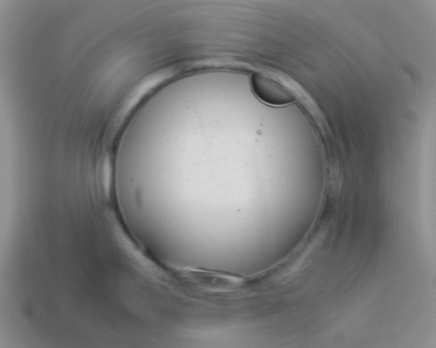 X0000113891295200910151326