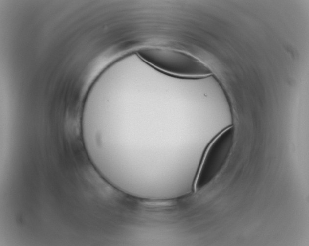 X0000113891296200910151326