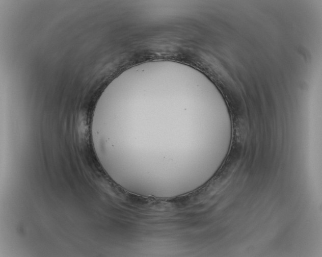 X0000113891298200910151326