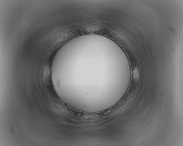 X0000113891299200910151326