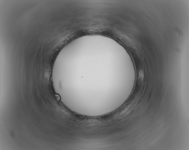 X0000113891300200910151326