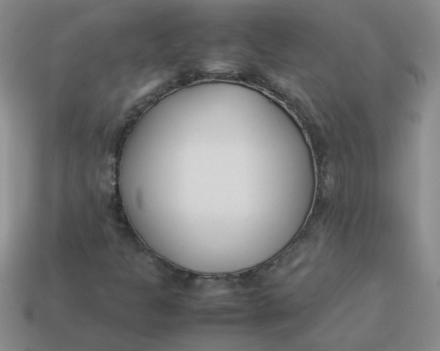 X0000113891301200910151326