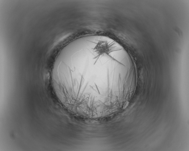 X0000113891302200910151326