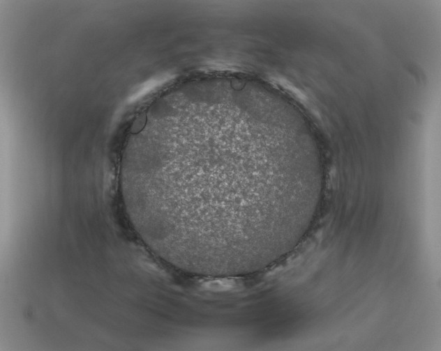 X0000113891303200910151326