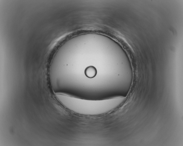 X0000113891304200910151326