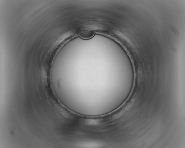 X0000113891305200910151326