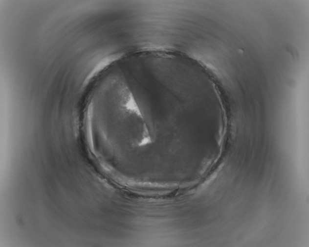 X0000113891306200910151326