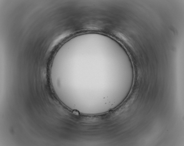 X0000113891307200910151326