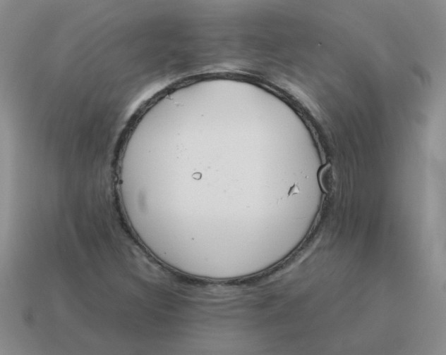 X0000113891308200910151326