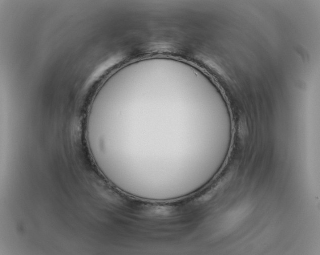 X0000113891309200910151326