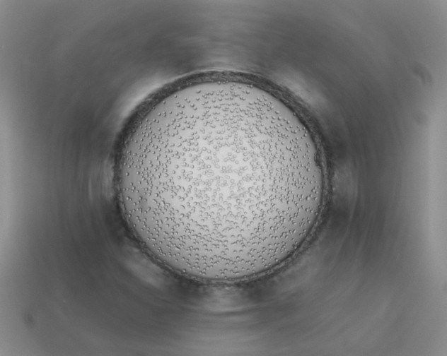 X0000113891310200910151326