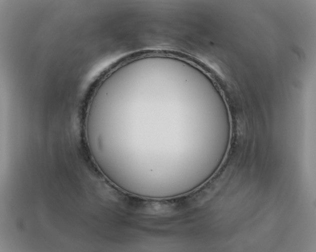 X0000113891311200910151326