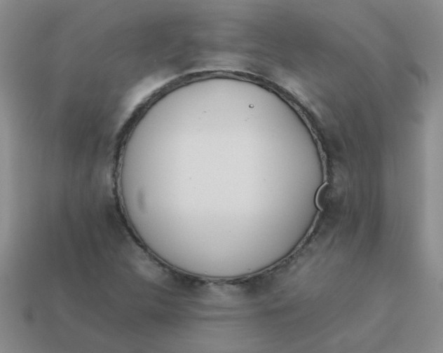 X0000113891312200910151326