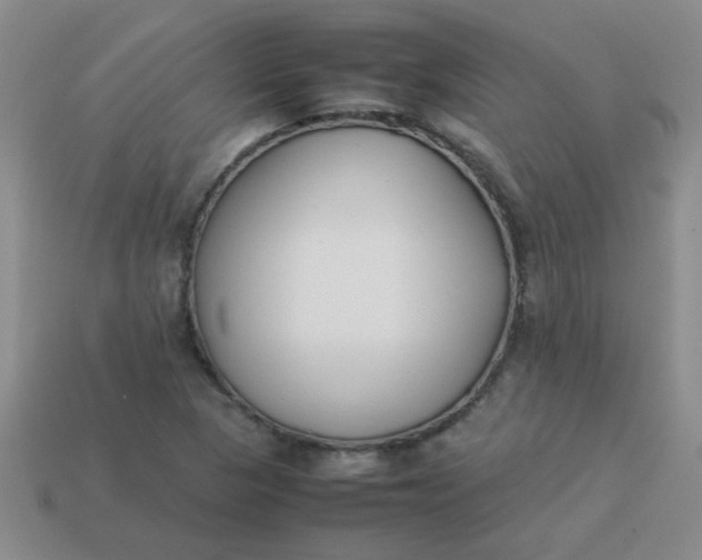 X0000113891313200910151326