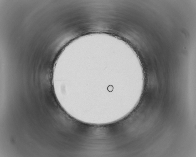 X0000113891314200910151326