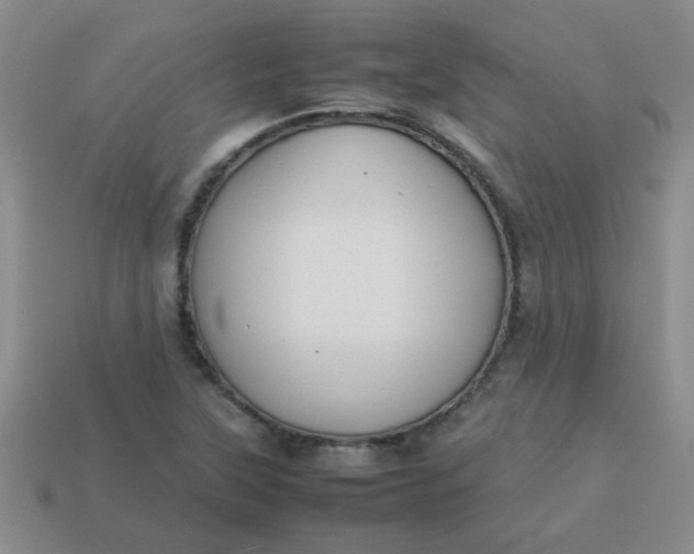 X0000113891315200910151326