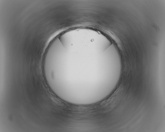 X0000113891316200910151326