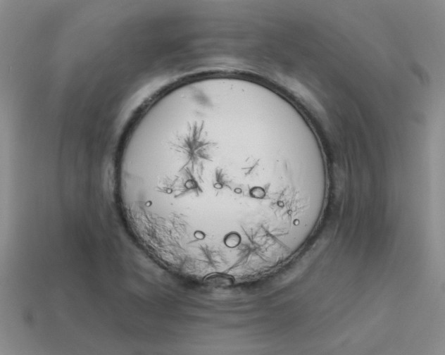 X0000113891318200910151326