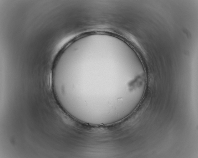 X0000113891320200910151326