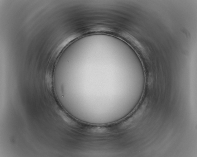 X0000113891321200910151326