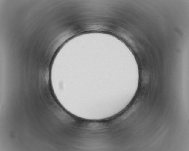 X0000113891322200910151326