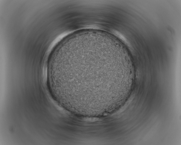 X0000113891323200910151326