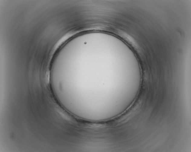 X0000113891324200910151326