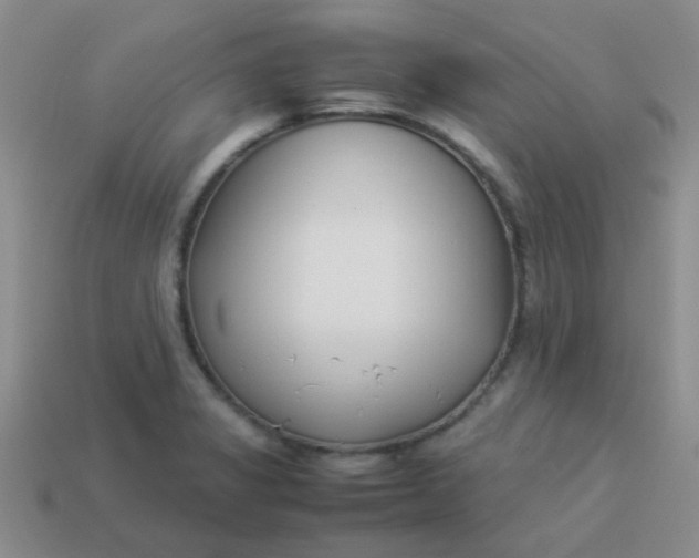 X0000113891325200910151326