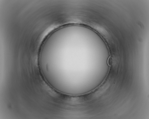 X0000113891326200910151326