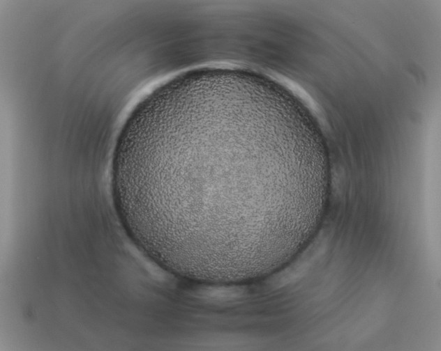 X0000113891327200910151326