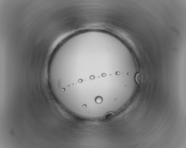 X0000113891328200910151326