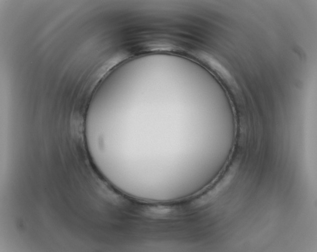 X0000113891329200910151326