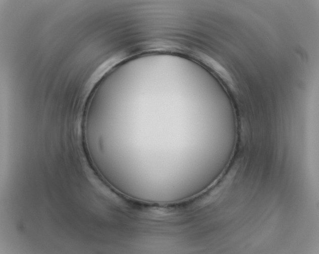 X0000113891330200910151326