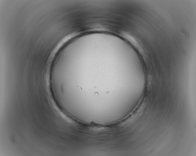 X0000113891331200910151326