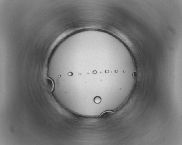 X0000113891332200910151326