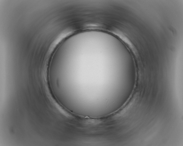 X0000113891333200910151326