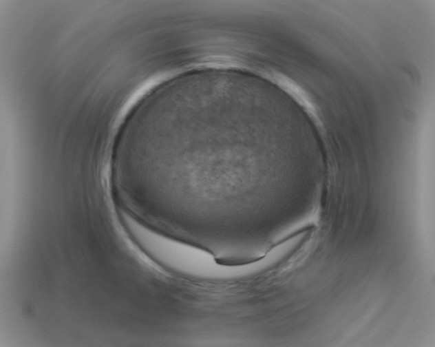 X0000113891334200910151326